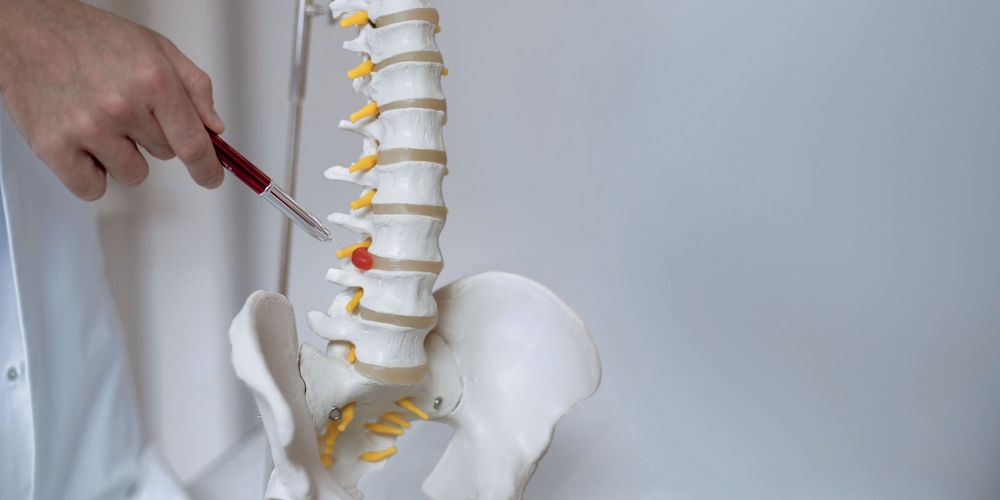 Das Modell einer Wirbelsäule steht symbolisch für die orthopädische Ambulanz.  