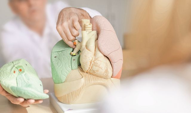 Spezialgebiet Thoraxchirurgie als Teil des Fachgebiets Chirurgie