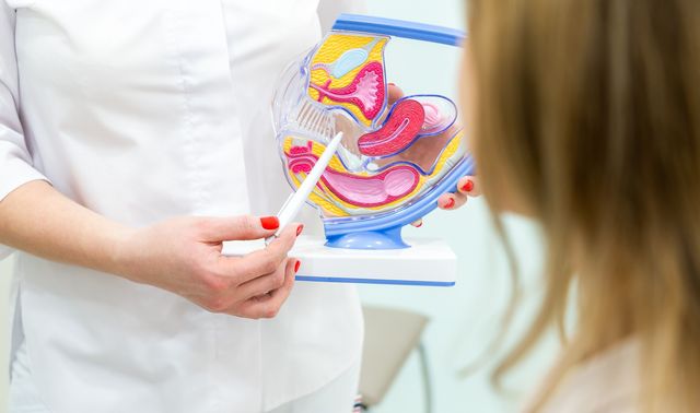 Eine Patientin informiert sich über Blasensenkung.  
