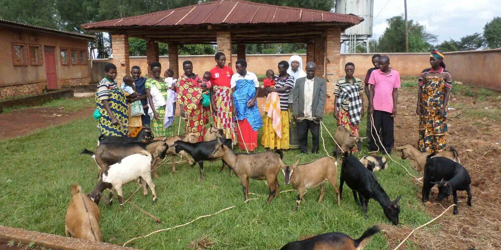 Bedürftige in Burundi erhalten ihre Zukunftsziege. Das Tier schafft nachhaltig Perspektiven für den eigenen Lebensunterhalt.