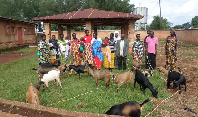 Bedürftige in Burundi erhalten ihre Zukunftsziege. Das Tier schafft nachhaltig Perspektiven für den eigenen Lebensunterhalt.