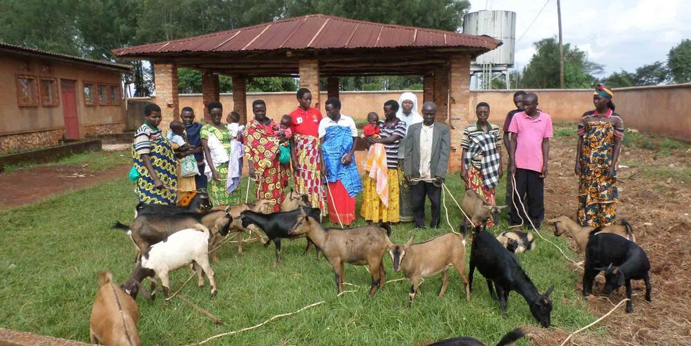 Bedürftige in Burundi erhalten ihre Zukunftsziege. Das Tier schafft nachhaltig Perspektiven für den eigenen Lebensunterhalt.